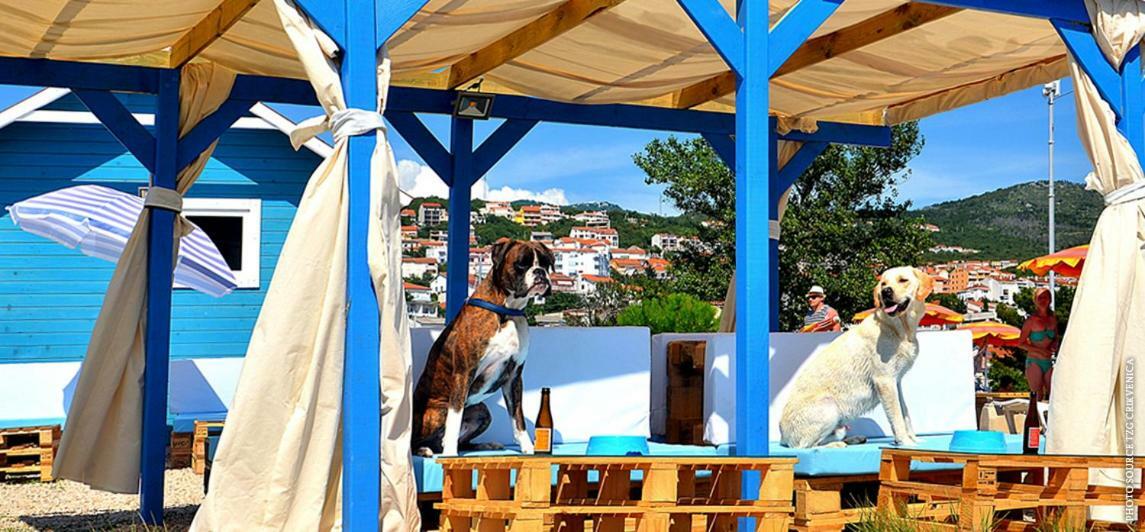Apartments Anita Crikvenica Εξωτερικό φωτογραφία