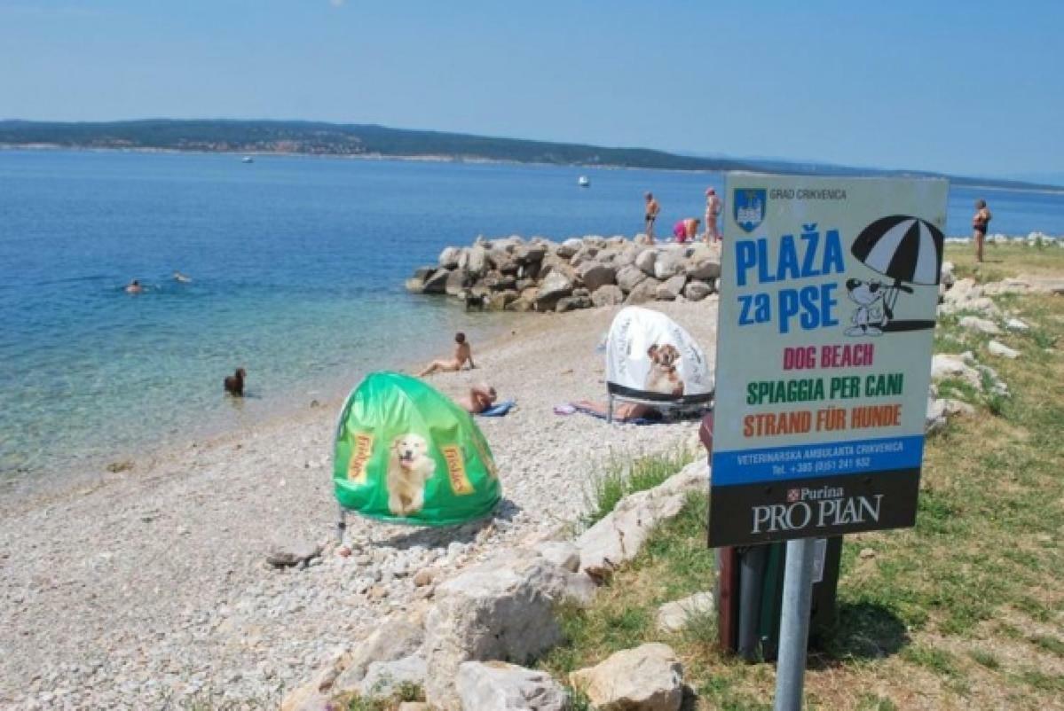 Apartments Anita Crikvenica Εξωτερικό φωτογραφία